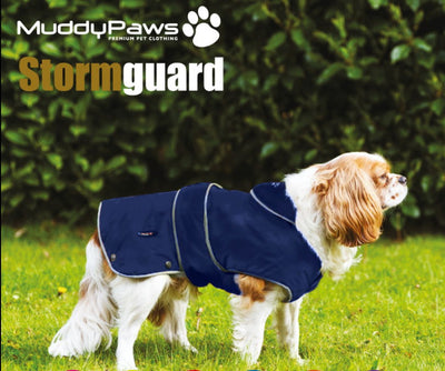 Ancol Muddy Paws Stormguard Coat & Chest Protector Blue Small/Medium